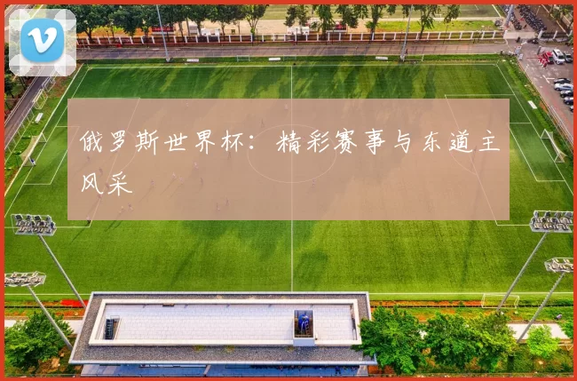 俄罗斯世界杯:精彩赛事与东道主风采