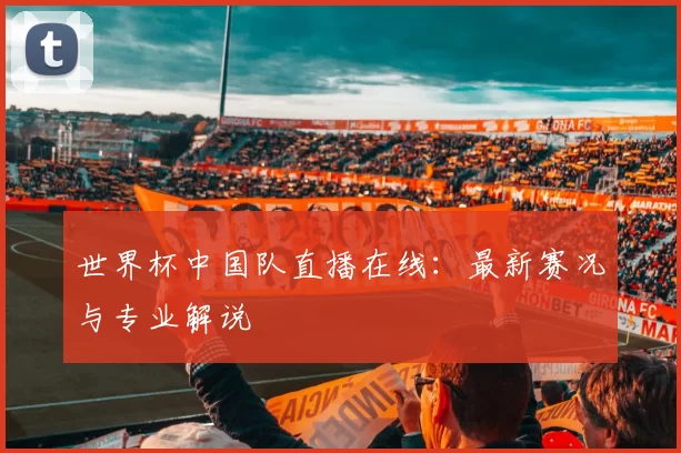 世界杯中国队直播在线：最新赛况与专业解说