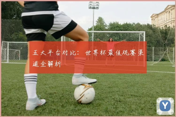 五大平台对比：世界杯最佳观赛渠道全解析